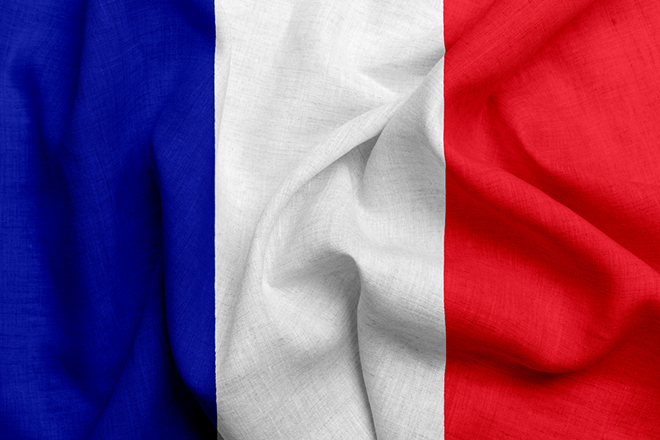 France Flag