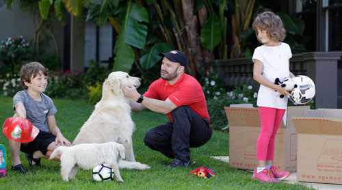 AGS movers staff member preparing dogs for transport.