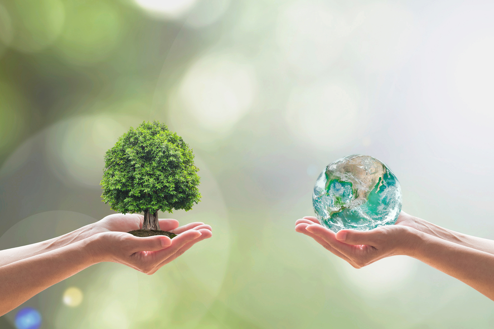 hands showing a tree and water