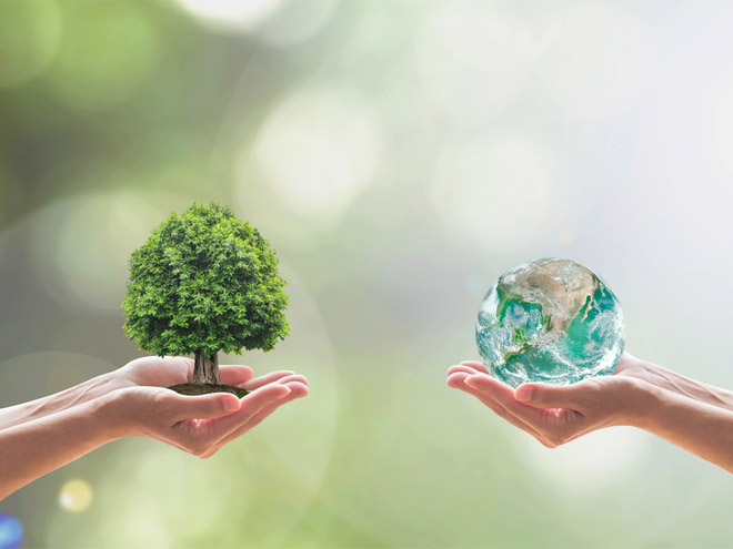 Two hands holding a tree and two holding water