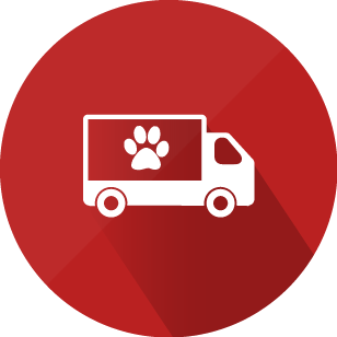 Pet Transport